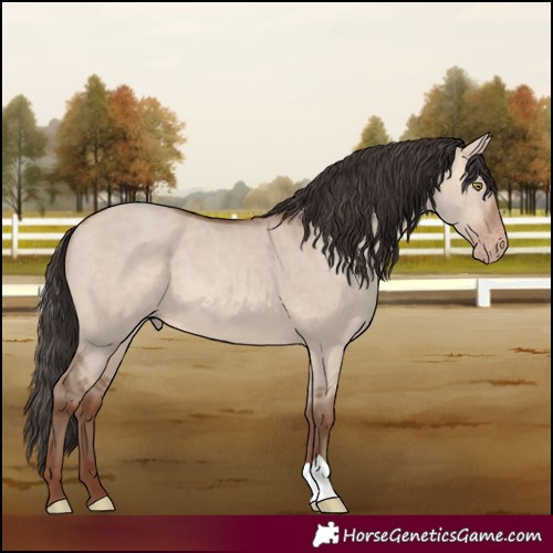 Horse Color:Sable Champagne Dun 
