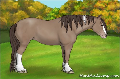 Horse Color:Classic Champagne Splash Tobiano 