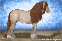 Horse Color:Red Dun Appaloosa Rabicano