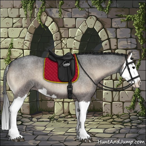 Horse Color:Blue Onyx Roan Splash 