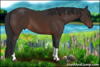Horse Color:Brown Tobiano
