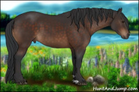 Horse Color:Brown 