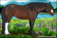 Horse Color:Brown 