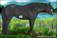 Horse Color:Black Frame 