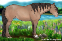 Horse Color:Sable Champagne Rabicano