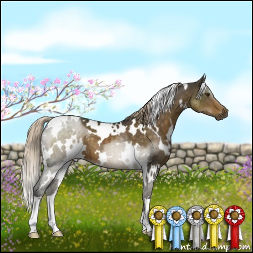 Horse Color:White Spotted Chocolate Palomino 