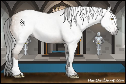 Horse Color:Gray Amber Champagne