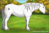 Horse Color:Gray Amber Champagne Tobiano 