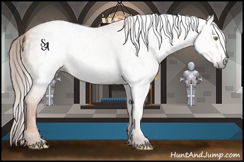 Horse Color:Gray Gold Champagne 