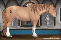 Horse Color:Gold Champagne