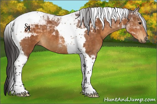 Horse Color:Buckskin Tobiano