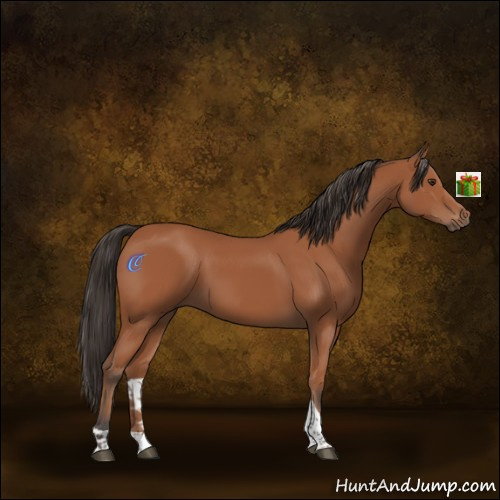 Horse Color:Bay Tobiano Rabicano 