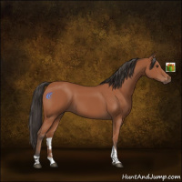 Horse Color:Bay Tobiano Rabicano 