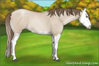 Horse Color:Grullo Pearl Splash 