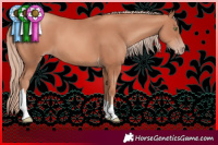 Horse Color:Gold Champagne Tobiano 