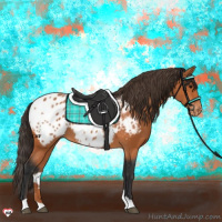 Horse Color:Bay Appaloosa 