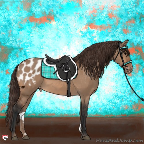 Horse Color:Bay Dun Appaloosa 