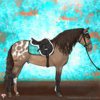 Horse Color:Bay Dun Appaloosa 