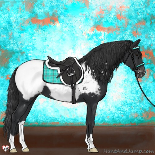 Horse Color:Black Snowcap