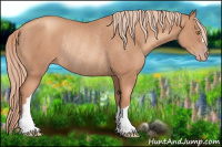 Horse Color:Gold Champagne Rabicano 
