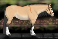 Horse Color:Bay Dun