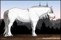 Horse Color:Liver Chestnut Sabino Frame Appaloosa