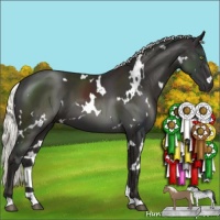 Horse Color:White Spotted Liver Chestnut Mushroom 