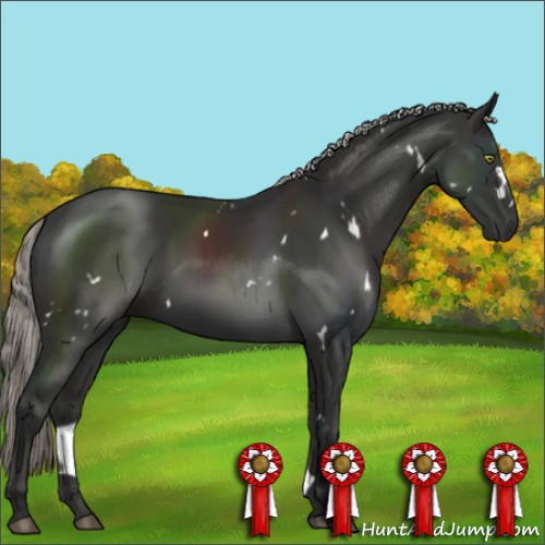 Horse Color:White Spotted Liver Chestnut Mushroom 