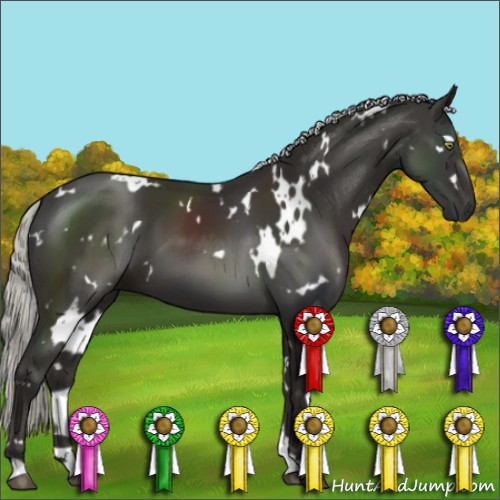 Horse Color:White Spotted Liver Chestnut Mushroom 