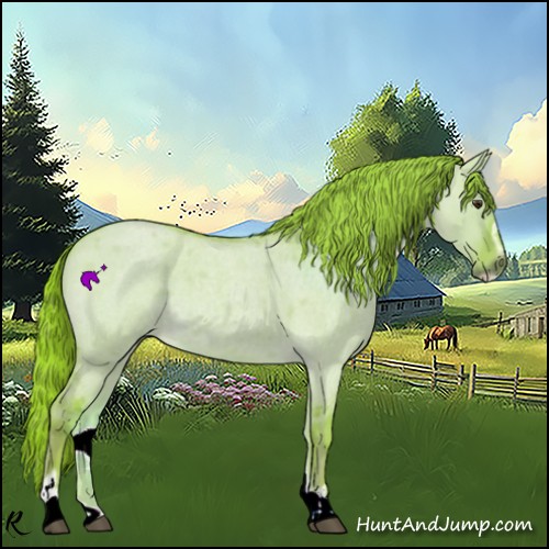 Horse Color:Watercolor Red Dun Roan Sabino 