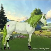 Horse Color:Watercolor Red Dun Roan Sabino