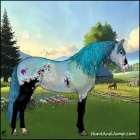 Horse Color:Watercolor White Spotted Bay Dun 