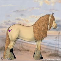 Horse Color:Watercolor Red Dun Sabino