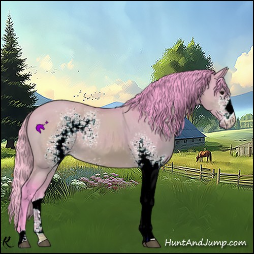 Horse Color:Watercolor White Spotted Bay Dun 