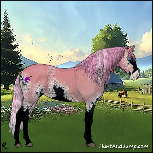 Horse Color:Watercolor White Spotted Bay Dun Splash Varnish 