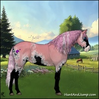 Horse Color:Watercolor White Spotted Bay Dun Splash Varnish 