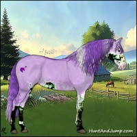 Horse Color:Watercolor Liver Red Dun Sabino 