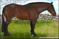 Horse Color:Gray Bay 