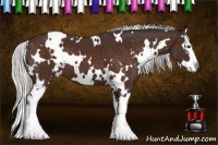 Horse Color:White Spotted Silver Brown Sabino Splash