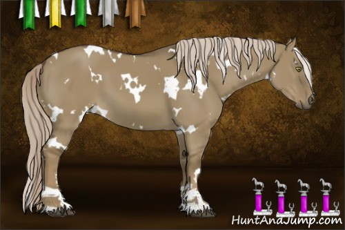 Horse Color:White Spotted Chocolate Palomino Dun Sabino 