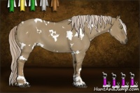 Horse Color:White Spotted Chocolate Palomino Dun Sabino 