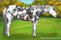 Horse Color:Brown Sabino