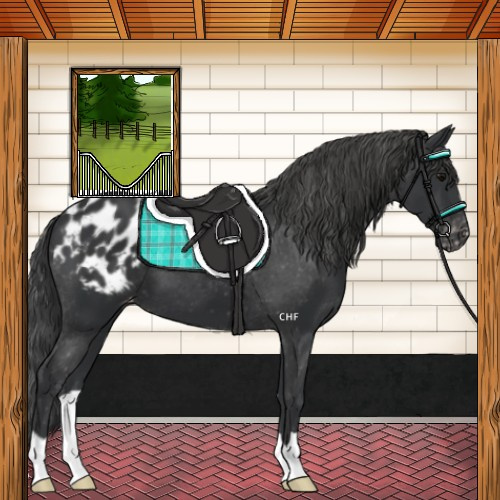 Horse Color:Black Varnish
