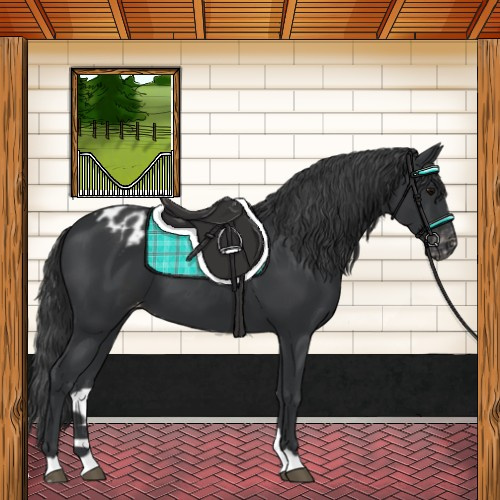 Horse Color:Black Varnish