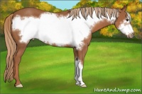 Horse Color:Chestnut Frame