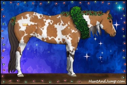 Horse Color:White Spotted Buckskin 