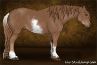 Horse Color:White Spotted Chestnut Sabino