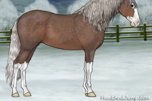 Horse Color:Silver Blue Roan Splash 