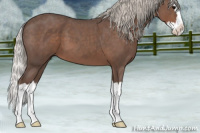 Horse Color:Silver Blue Roan Splash 