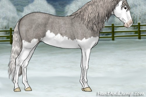 Horse Color:Silver Blue Roan Splash 